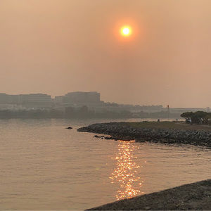 Meet your Posher, Jayson